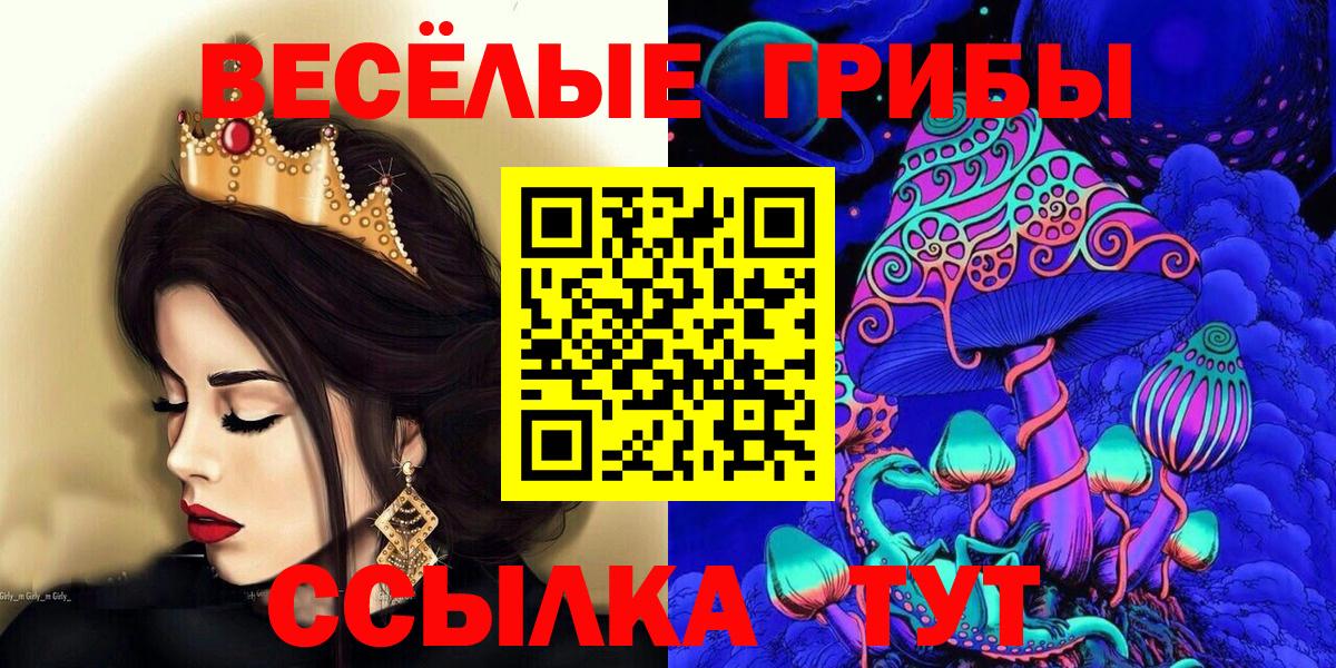 Псилоцибиновые грибы ЛСД Луга